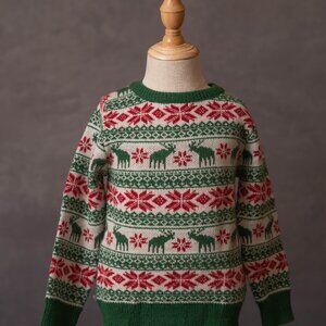 Boys Fair Isle Print Moose Sweater